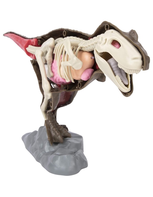 4D T-Rex Anatomy Kit Discovery