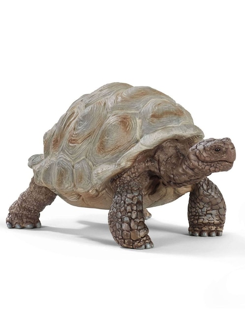 Figura de tortuga gigante 1