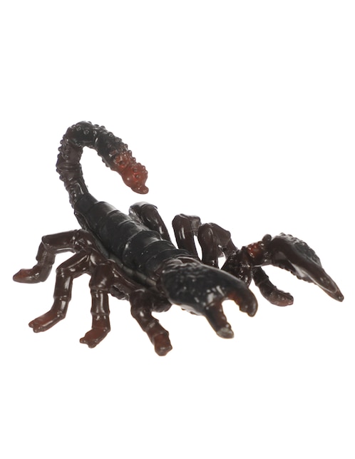 Figura de escorpión emperador 1