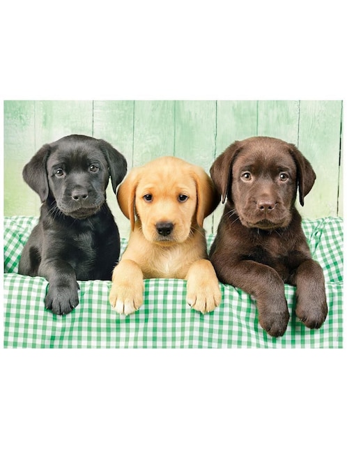 Rompecabezas Perritos Clementoni 1000 piezas