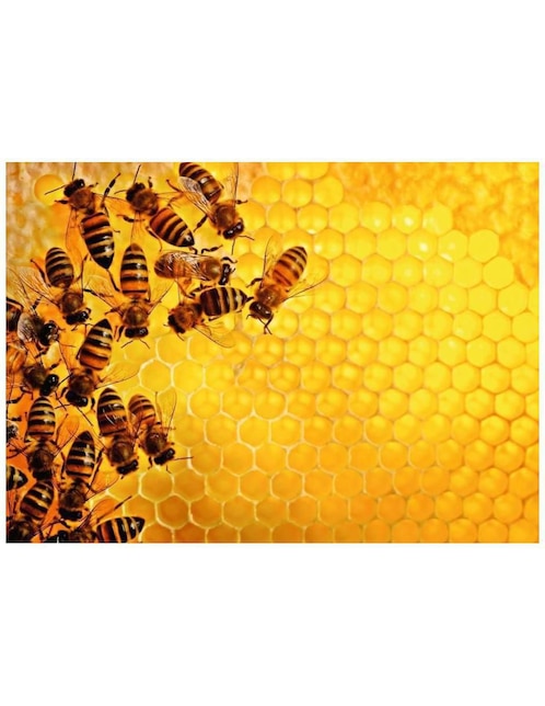Rompecabezas Challenge: Abejas Ravensburger 1000 piezas