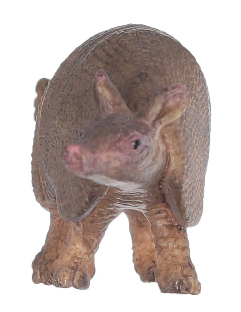 Figura de armadillo