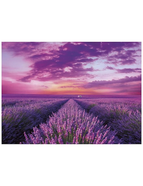 Rompecabezas Campo de Lavanda Clementoni 1000 piezas