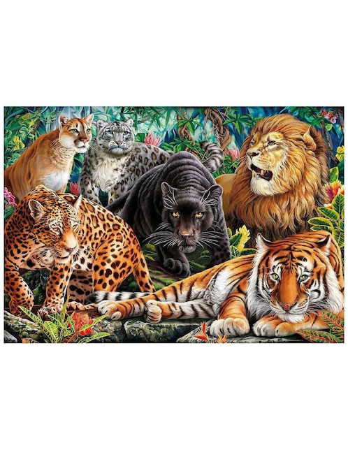 Rompecabezas Grandes felinos Clementoni 500 piezas