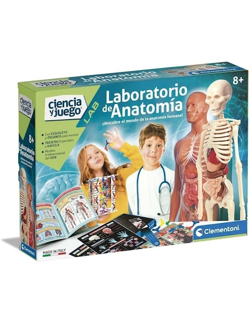 Laboratorio De Anatomía 1