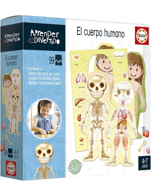 Aprender es divertido El cuerpo humano Educa