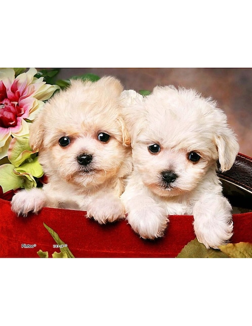 Rompecabezas Perritos 150 piezas 1