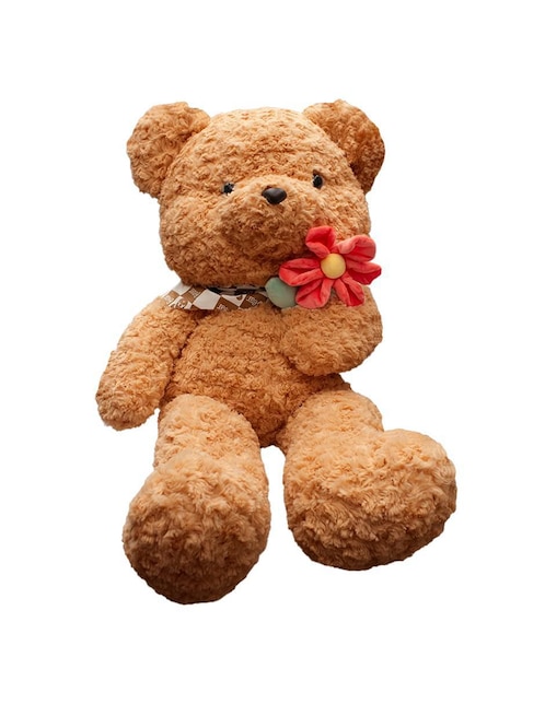 Peluche de oso Regaluches