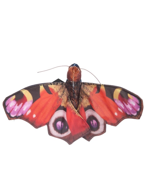 Peluche de mariposa de 20 cm 1
