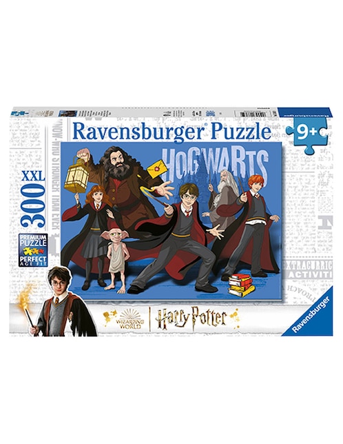 Rompecabezas Harry Potter en Hogwarts School of Magic 300 piezas