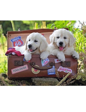 Rompecabezas Ravensburger Perritos Viajeros 100 piezas