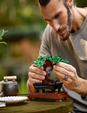 Lego Icons Icons Bonsái Tree 10281 Botanical Collection