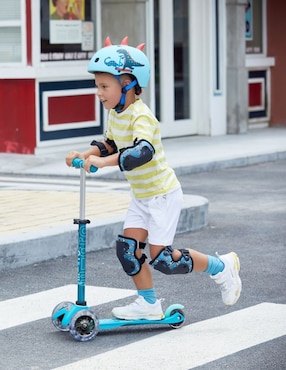 Scooter manual Micro