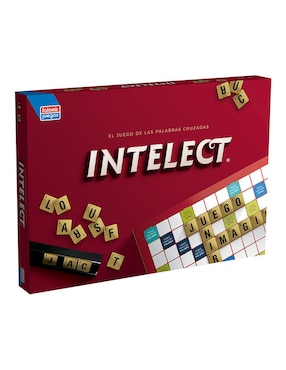 Intelect junior Falomir
