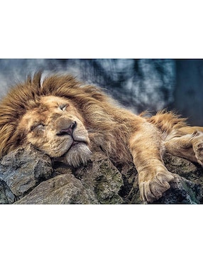 Rompecabezas Leon Durmiendo Trefl