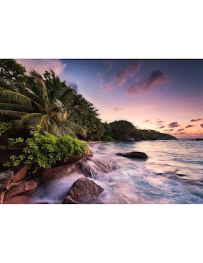Rompecabezas Isla De Praslin En Seychelles 1000 Piezas Ravensburger
