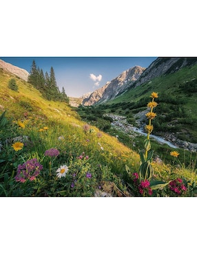Rompecabezas Ravensburger Jardin Del Eden 1000 Piezas