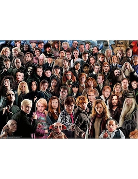 Rompecabezas Ravensburger Harry Potter Challenge 1000 Piezas