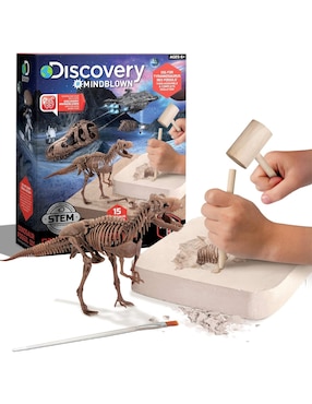 Dinosaur Fossil Dig Discovery