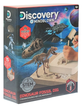 Dinosaur Fossil Dig Discovery