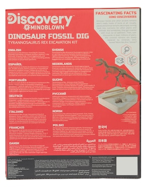 Dinosaur Fossil Dig Discovery