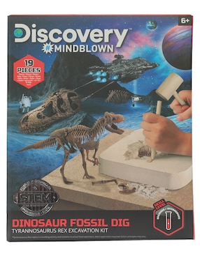 Dinosaur Fossil Dig Discovery