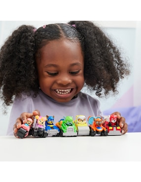 Automóvil Paw Patrol Paw Patrol