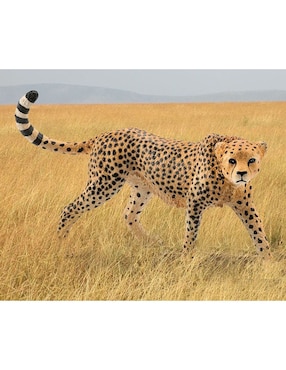 Figura de guepardo Schleich