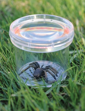 Visor de Insectos GeoSafari Educational Insights juego recreativo unisex