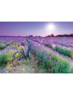 Rompecabezas Bicicleta en un campo de lavanda Educa 1000 piezas