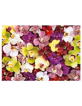 Rompecabezas Collage de Orquideas Educa 1000 piezas