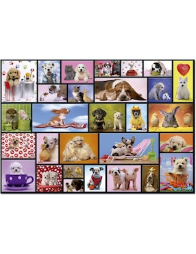 Rompecabezas Perritos Educa 1000 piezas
