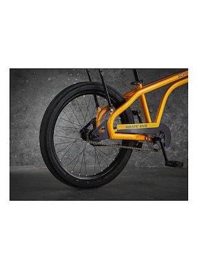 Bicicleta infantil Schwinn rodada 20 para niño