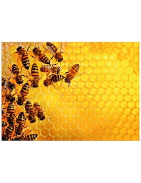 Rompecabezas Challenge: Abejas Ravensburger 1000 Piezas