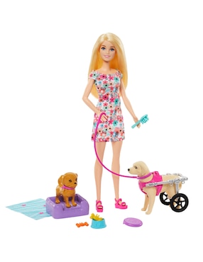 Muñeca Barbie Paseo Perrito Con Silla De Ruedas