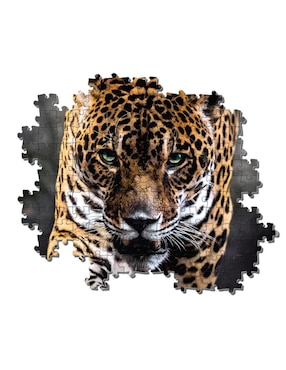 Rompecabezas Jaguar Clementoni 1000 piezas