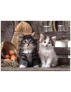 Rompecabezas Gatito Clementoni 1000 piezas