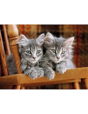 Rompecabezas Gatos y más gatos Clementoni 500 piezas
