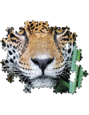 Rompecabezas Jaguar Clementoni 500 piezas