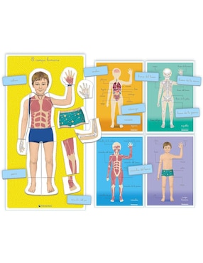 El Cuerpo Humano Montessori Clementoni