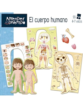 Aprender es divertido El cuerpo humano Educa
