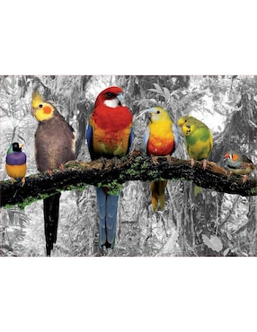 Rompecabezas Pájaros en la Jungla Educa 500 piezas