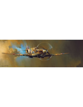 Rompecabezas Barrie Clark: Spitfire Eurographics 1000 piezas