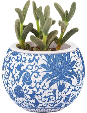 Rompecabezas Flores Orientales Maceta Pintoo 80 piezas