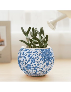 Rompecabezas Flores Orientales Maceta Pintoo 80 piezas