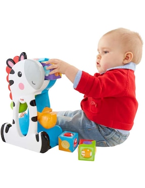 Zebra Bloques De Actividades Fisher Price juego didáctico infantil unisex