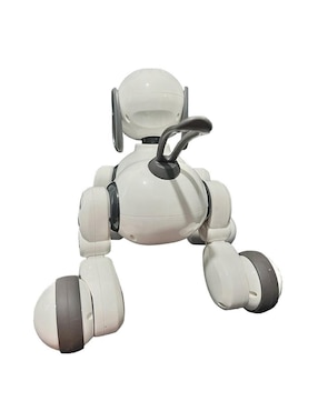 Robot D-Bugg