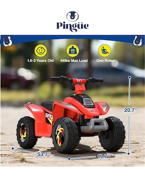 Cuatrimoto montable Pingüe de batería