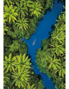 Rompecabezas Vista Aérea Tropical Clementoni 500 piezas