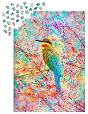 Rompecabezas Animales Pájaro Feliz Enjoy Puzzle 1000 piezas